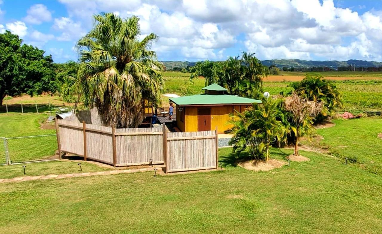 Ariami Rose Hotel Aguada Buitenkant foto